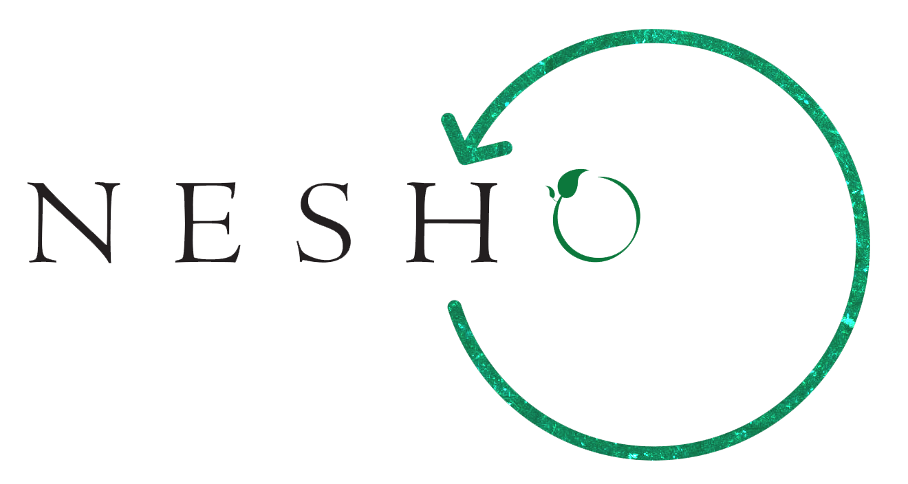 NESHO RECYCLING WORLD PRIVATE LIMITED logo